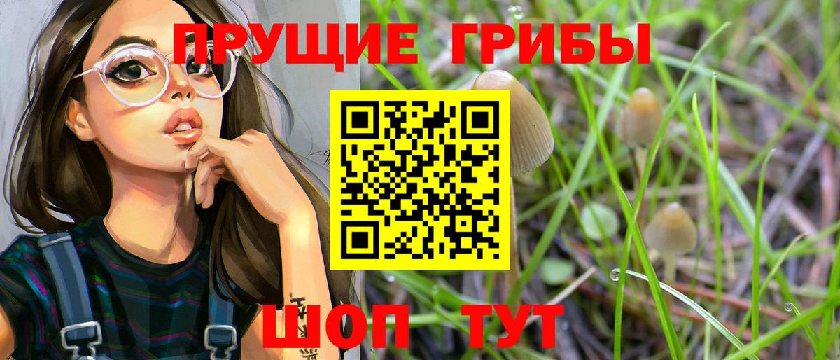 Псилоцибиновые грибы GOLDEN TEACHER Первоуральск